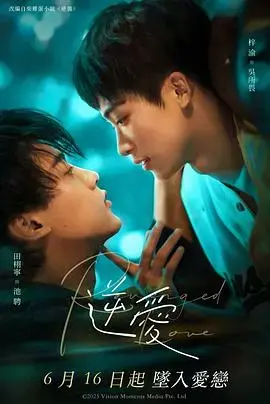逆爱 海报