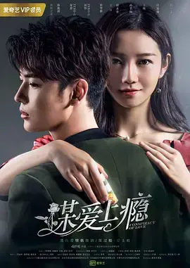 谋爱上瘾 海报