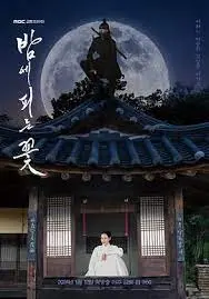 夜晚绽放的温暖故事：《夜晚开的花》解读情感的深层治愈