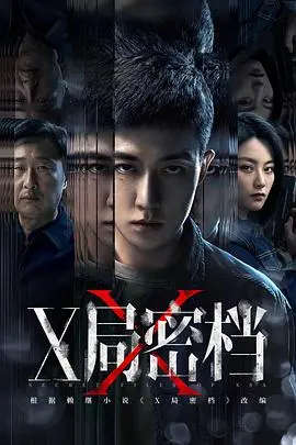 《X局密档》：揭秘尘封真相，一场惊心动魄的谍战风云