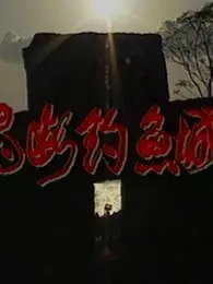 《魂断钓鱼城》：铁血英雄的悲歌，南宋末年最后的抵抗与不屈的民族脊梁
