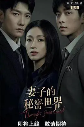 《妻子的秘密世界》：尘封婚姻下的暗流涌动，一场关于信任与真相的救赎之旅