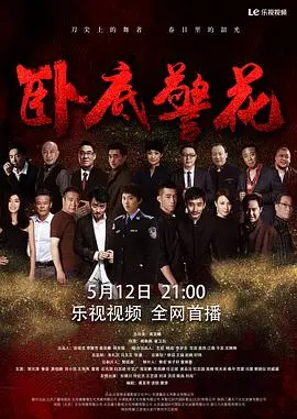 《卧底警花》：当正义披上伪装，她能否在危险边缘救赎自我？